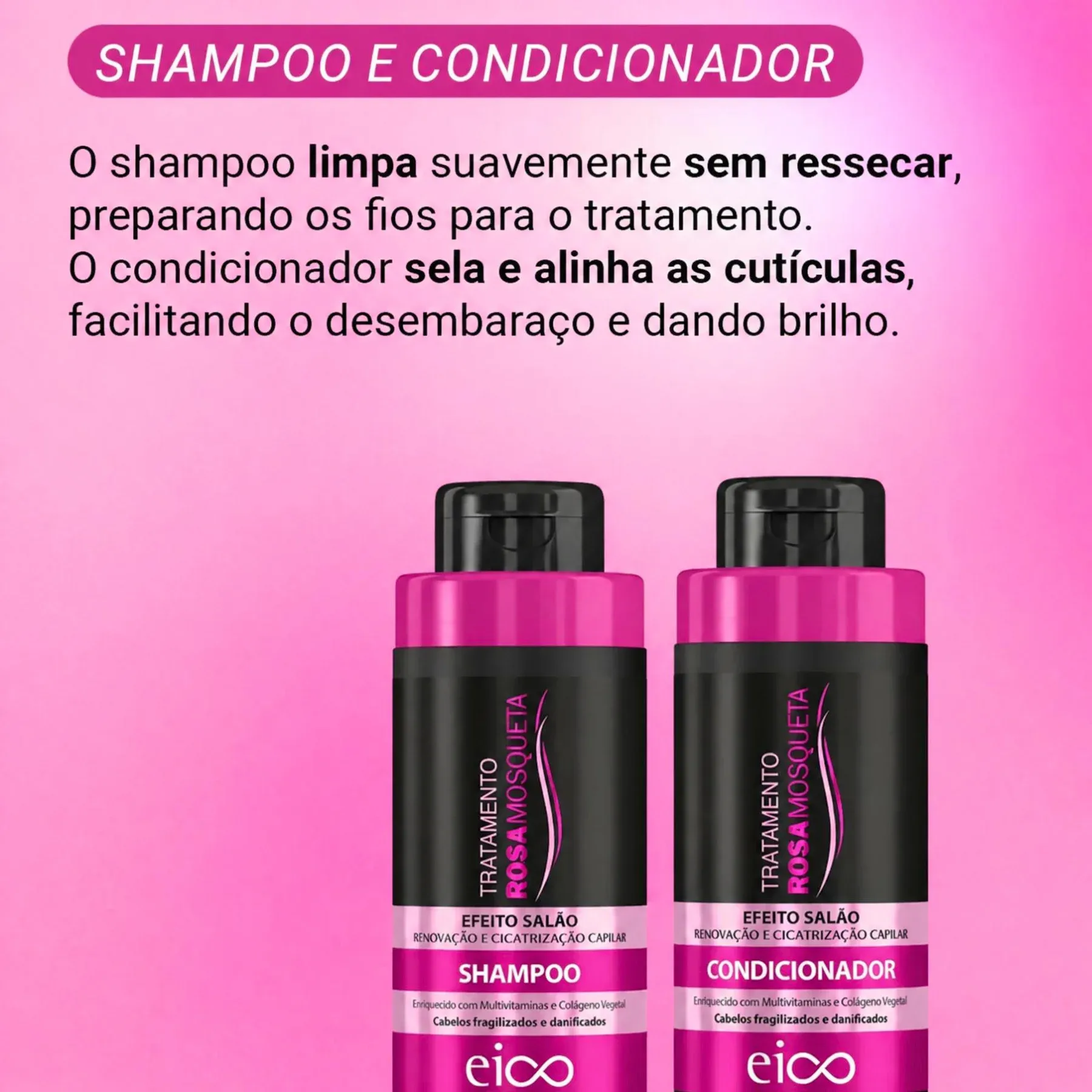 EICO ROSA -2-